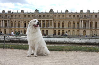 Bij het kasteel van Versailles
